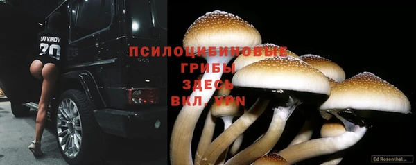 прущая мука Балахна